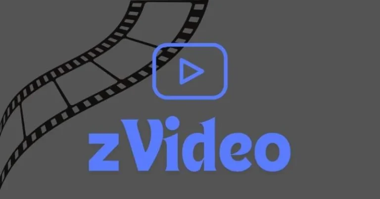 Zvideo: Explore the Platform and Its Potential