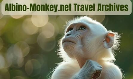 albino-monkey.net travel archives