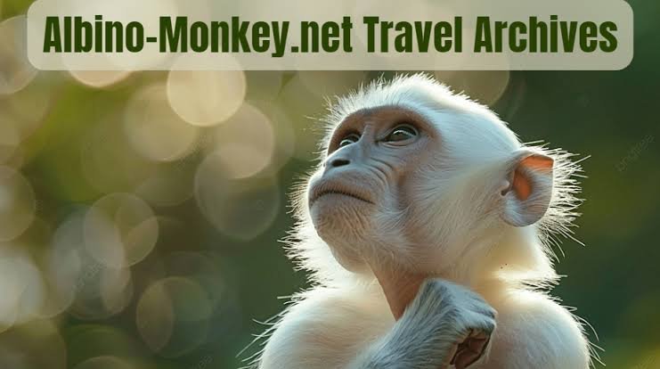 albino-monkey.net Travel Archives: Explore the World’s Hidden Wonders