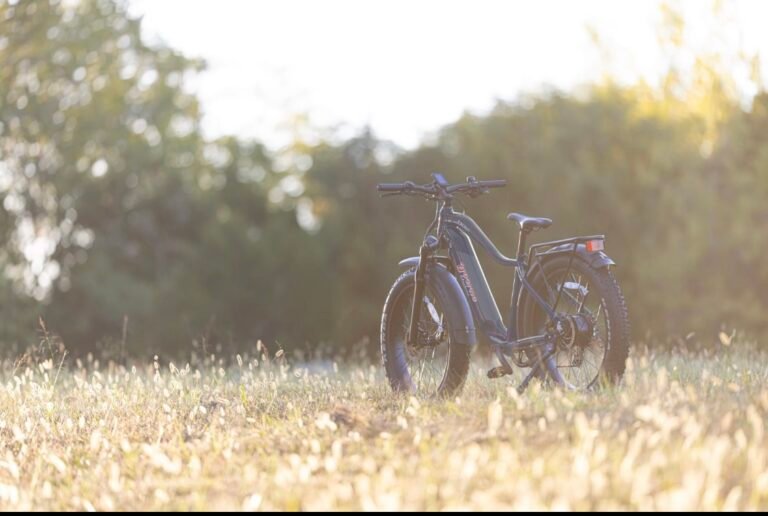 Understanding Step-Through Ebikes and Battery Safety Issues: A Comprehensive Guide