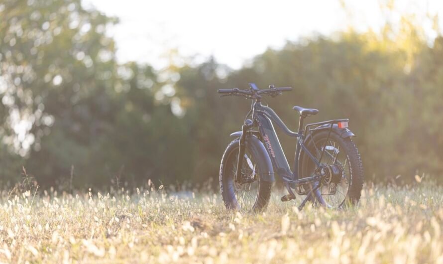 Understanding Step-Through Ebikes and Battery Safety Issues: A Comprehensive Guide